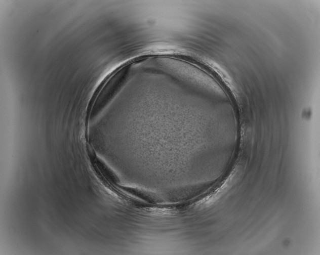 X0000097951465200804070952