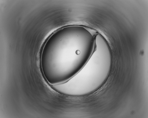 X0000097951468200804070952