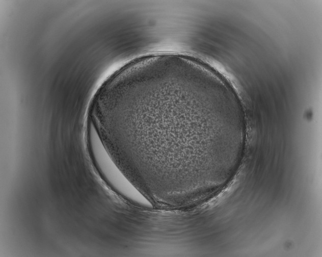 X0000097951469200804070952