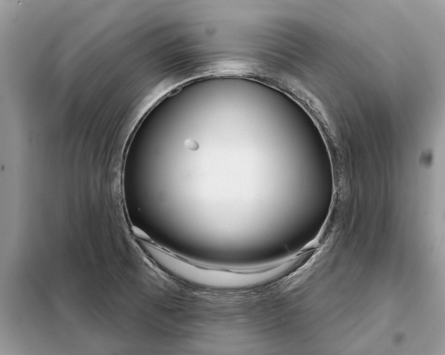 X0000097951473200804070952