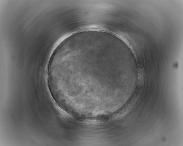 X0000097951474200804070952