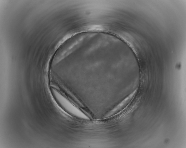 X0000097951475200804070952