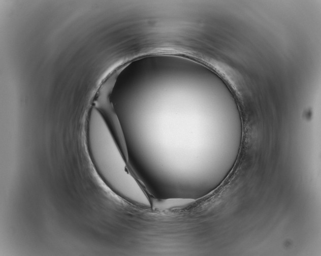 X0000097951476200804070952