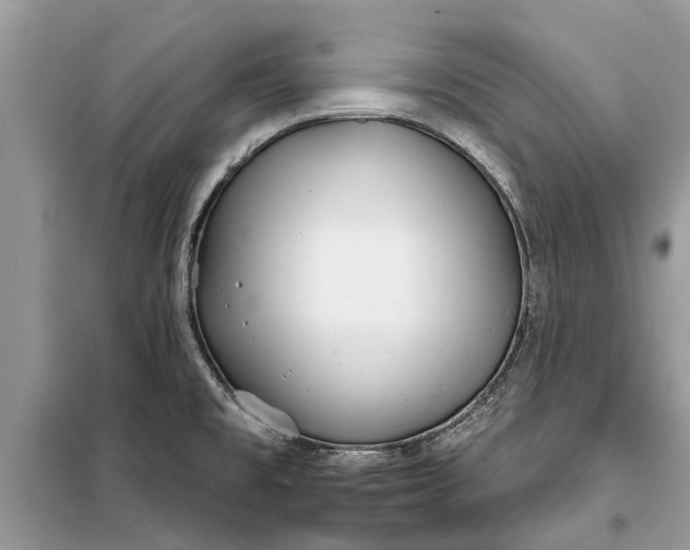 X0000097951477200804070952