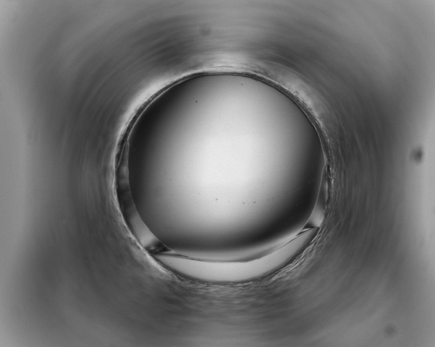 X0000097951480200804070952