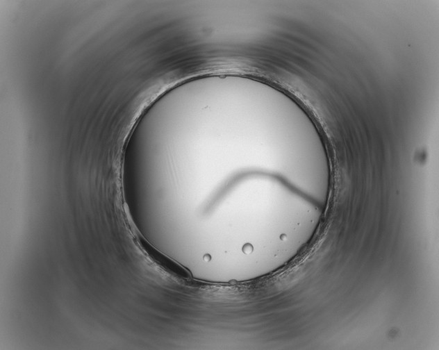 X0000097951481200804070952