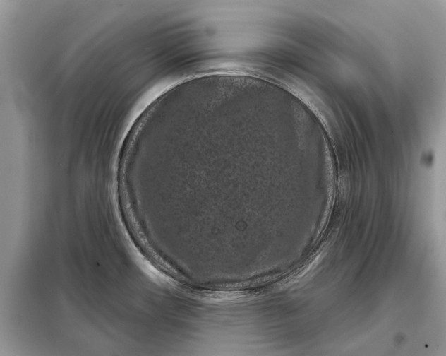 X0000097951482200804070952