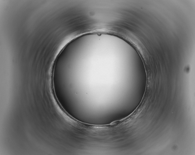 X0000097951483200804070952