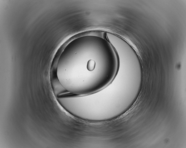 X0000097951484200804070952