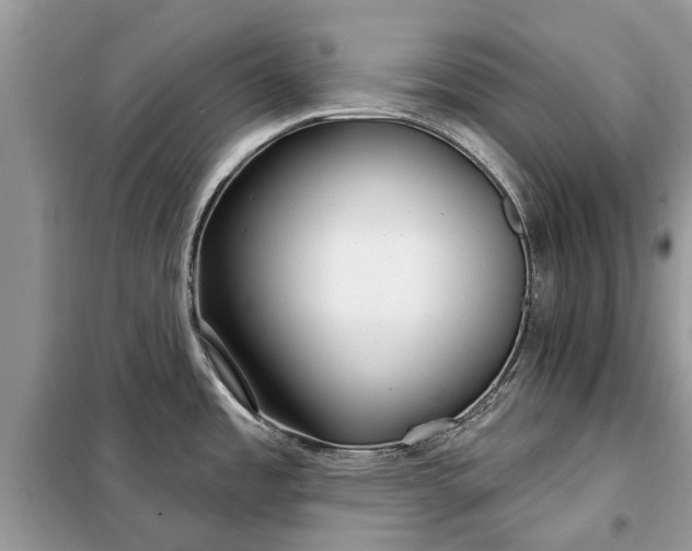 X0000097951485200804070952