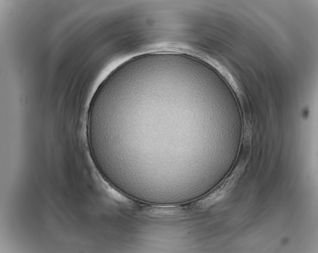 X0000097951486200804070952