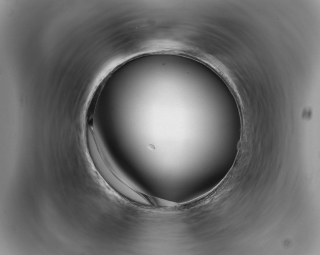 X0000097951488200804070952