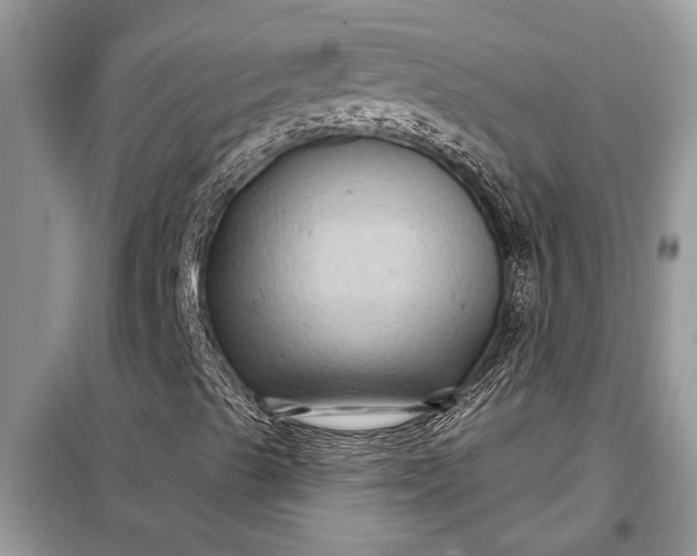 X0000097951489200804070951