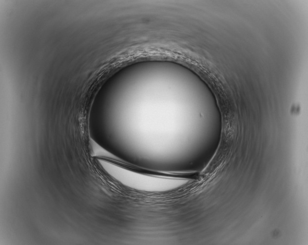 X0000097951490200804070951