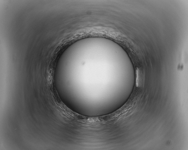 X0000097951491200804070951
