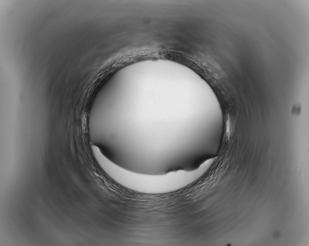 X0000097951492200804070951
