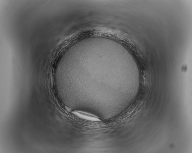 X0000097951493200804070951