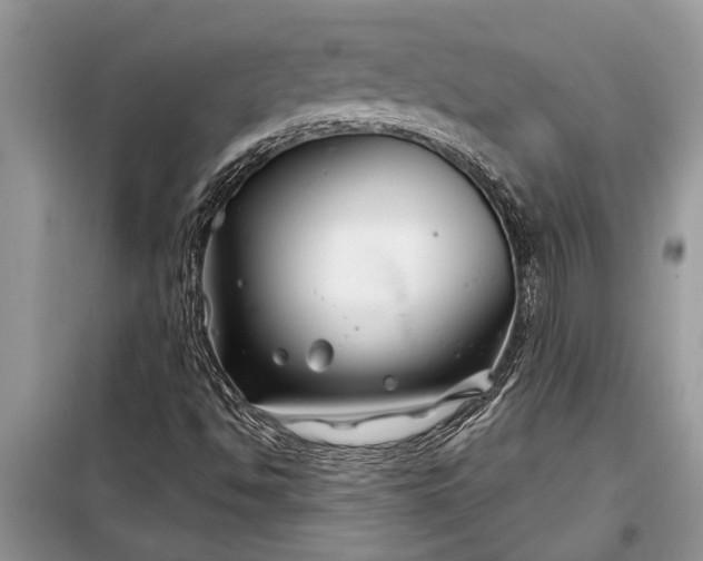 X0000097951494200804070951