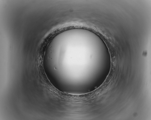X0000097951495200804070951