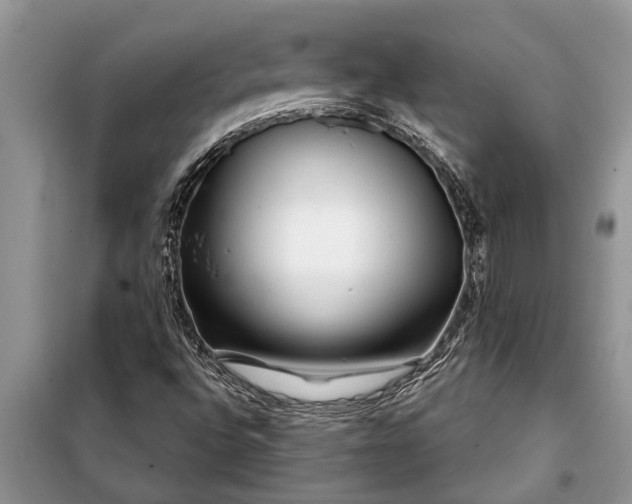 X0000097951496200804070951