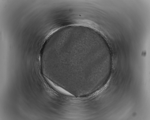 X0000097951497200804070951