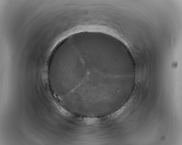 X0000097951498200804070951