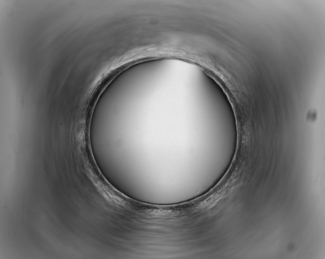 X0000097951499200804070951