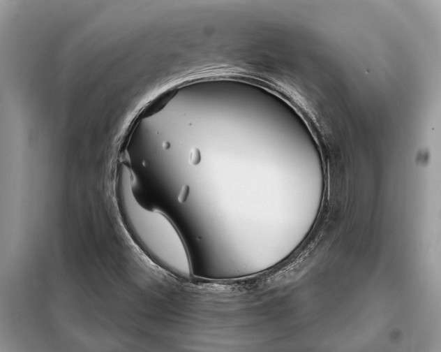 X0000097951500200804070951