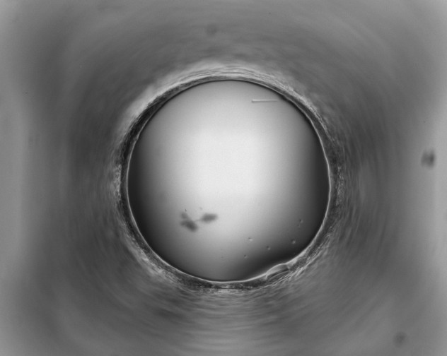 X0000097951503200804070951
