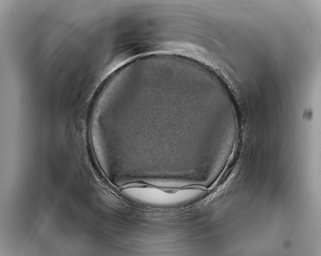 X0000097951505200804070951