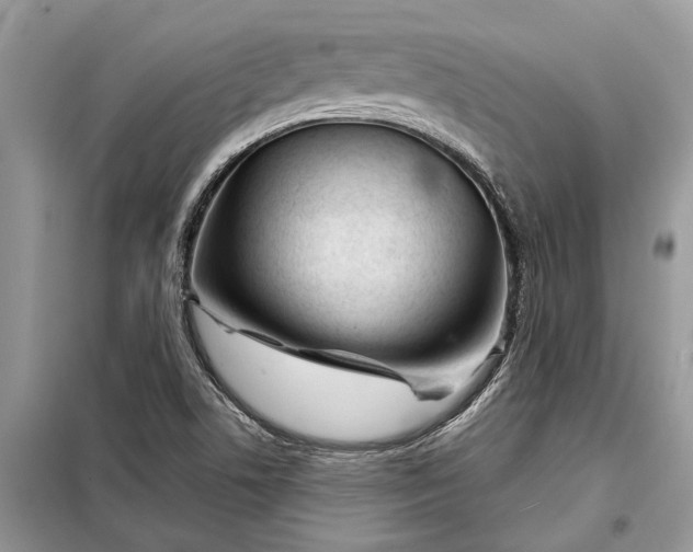 X0000097951506200804070951