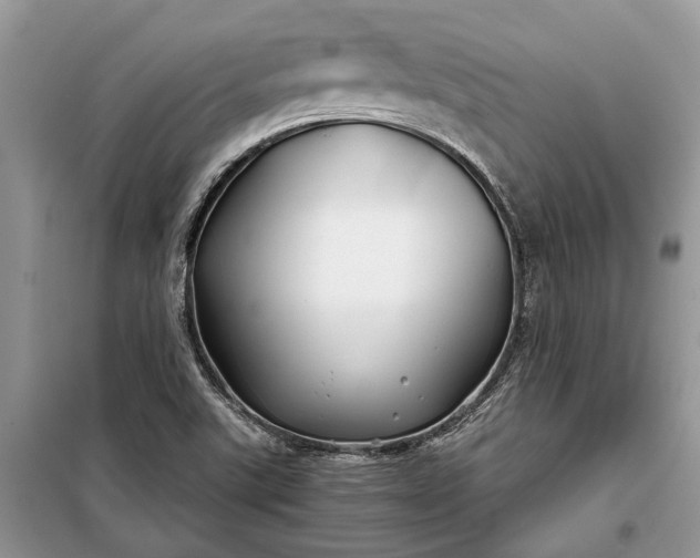 X0000097951507200804070951