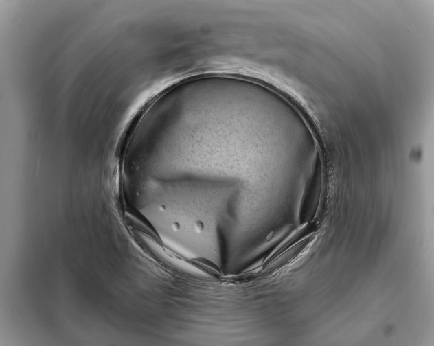 X0000097951509200804070951