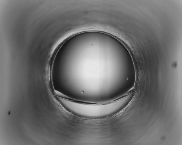 X0000097951510200804070951