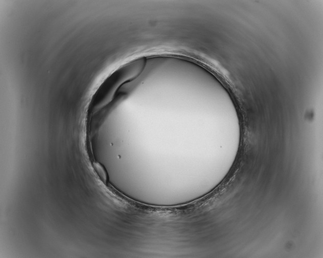 X0000097951512200804070951