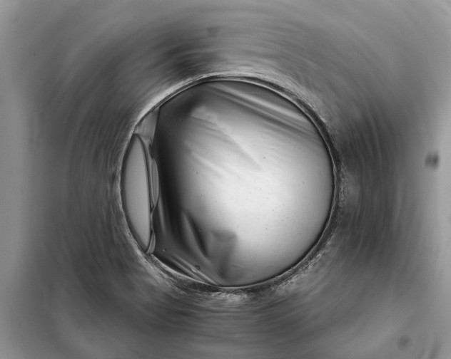 X0000097951513200804070951