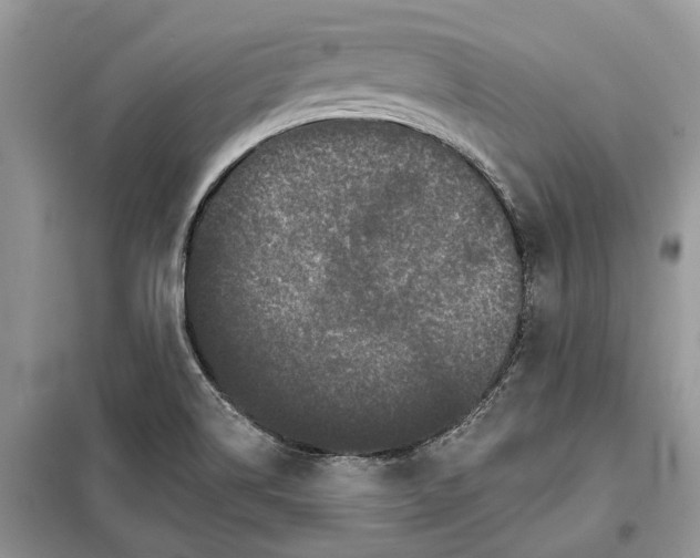 X0000097951514200804070952