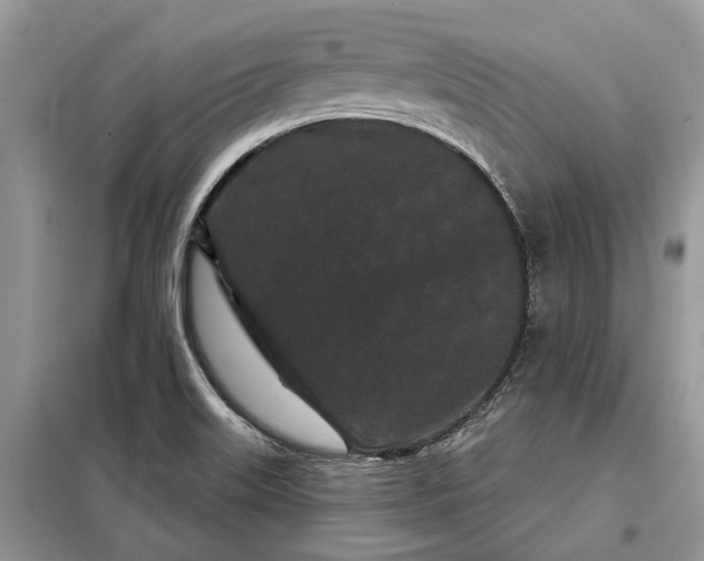 X0000097951515200804070952