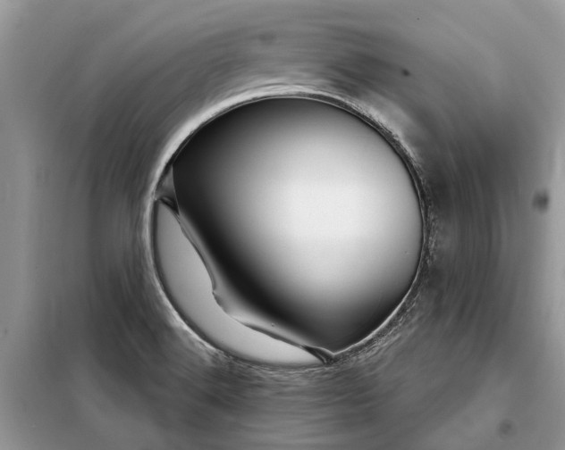 X0000097951516200804070952