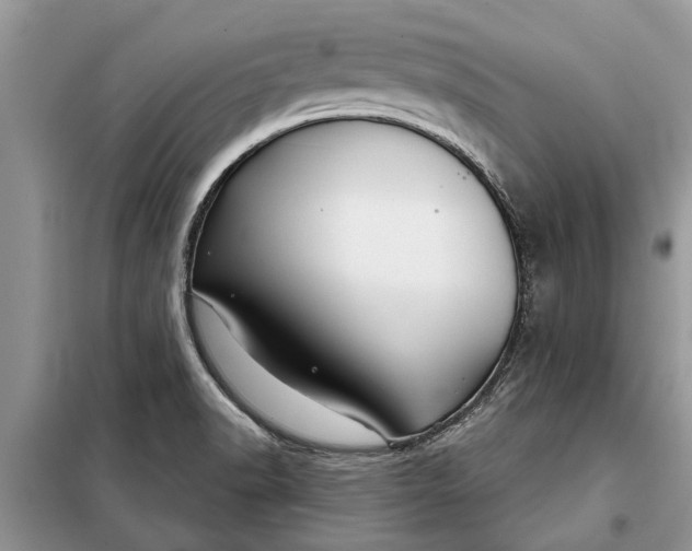 X0000097951518200804070952