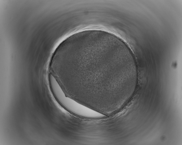 X0000097951519200804070952