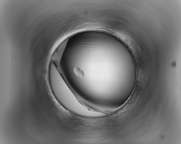 X0000097951520200804070952