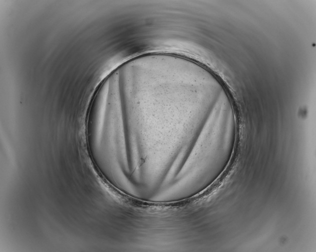 X0000097951521200804070952