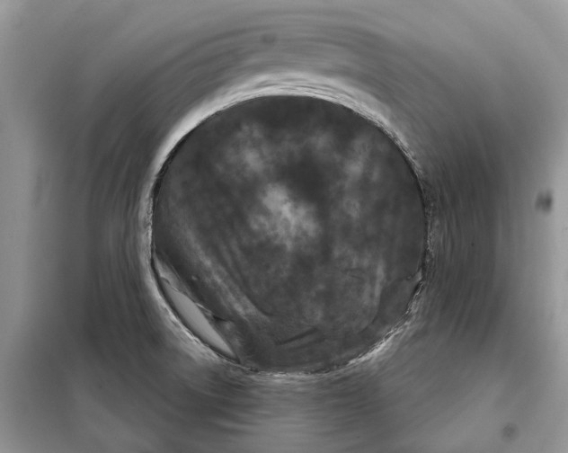 X0000097951522200804070952