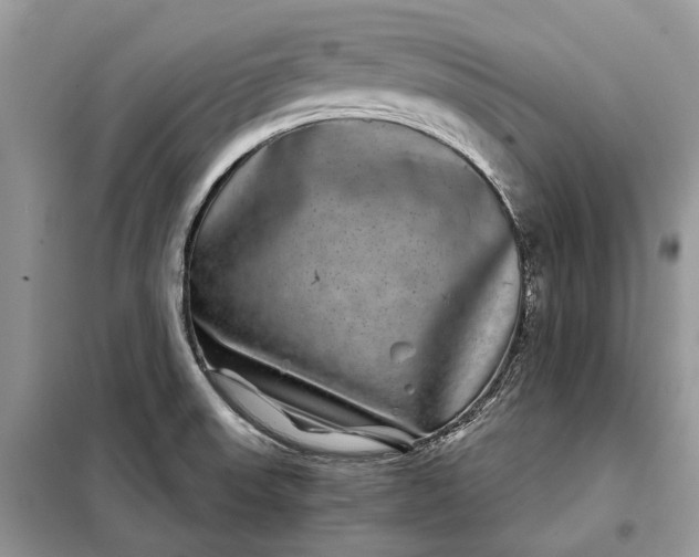 X0000097951523200804070952