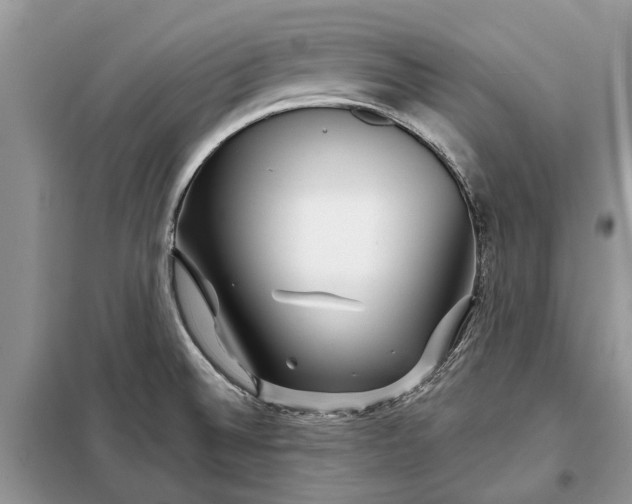 X0000097951524200804070952