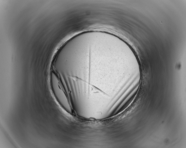 X0000097951525200804070952