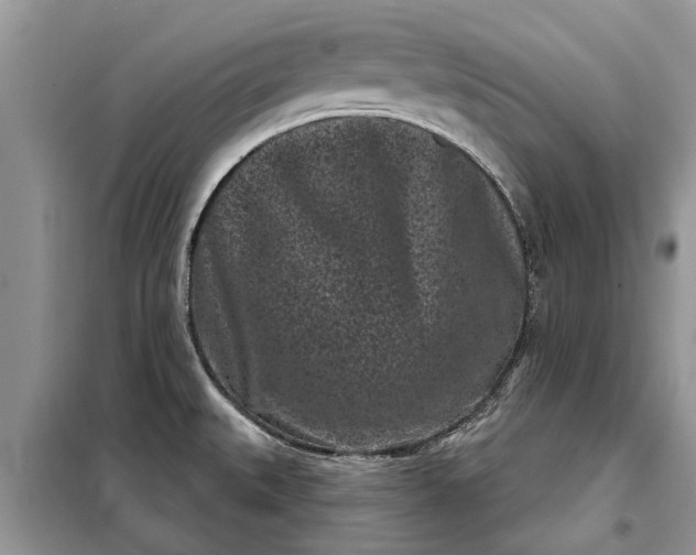 X0000097951527200804070952