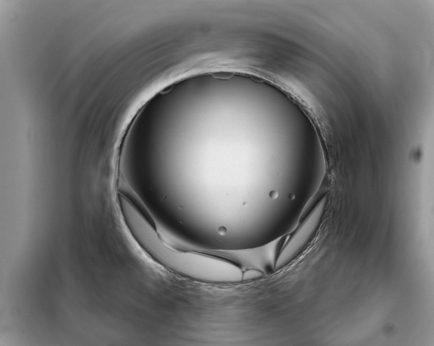 X0000097951528200804070952
