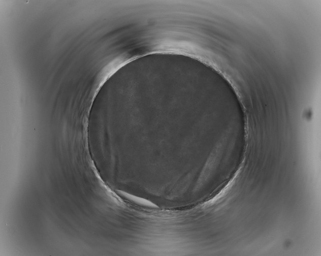 X0000097951529200804070952